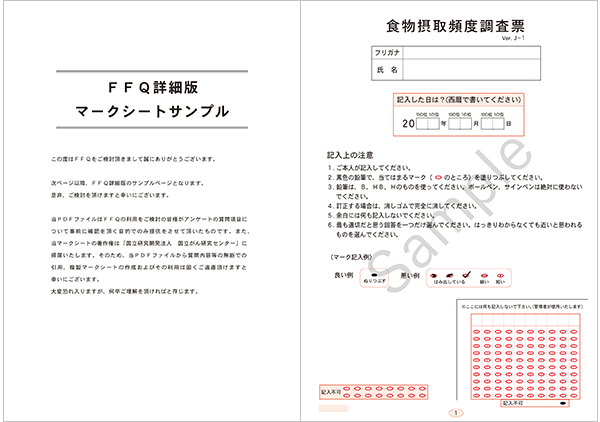 FFQ『詳細版』サンプル