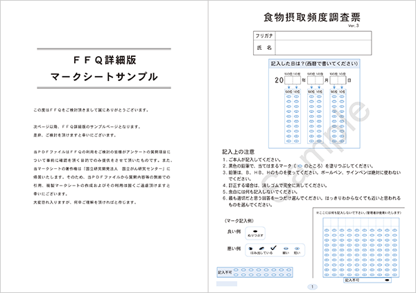 FFQ(旧:詳細版)サンプル