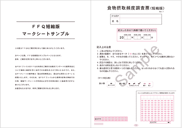 FFQ『詳細版』サンプル