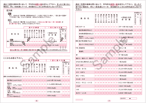 FFQ『詳細版』サンプル