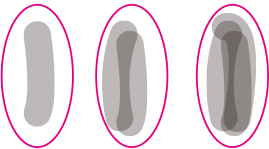塗りの濃さは、1往復した程度